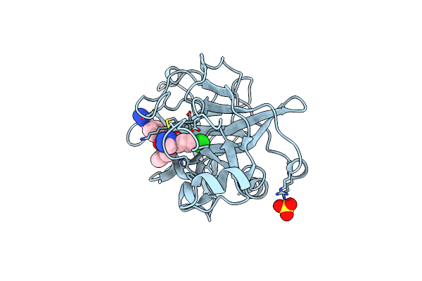 4CRC image
