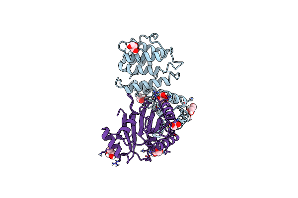 4CRW image