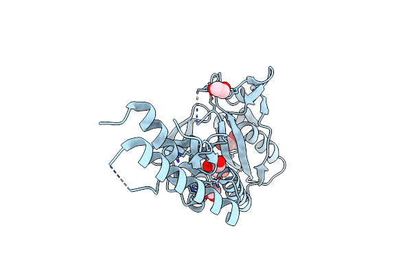 4CS2 image