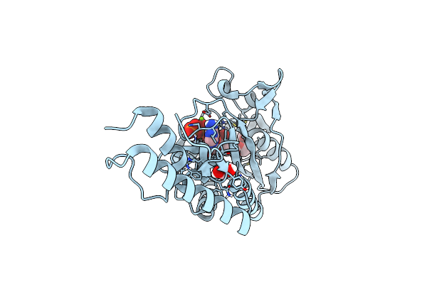 4CS3 image