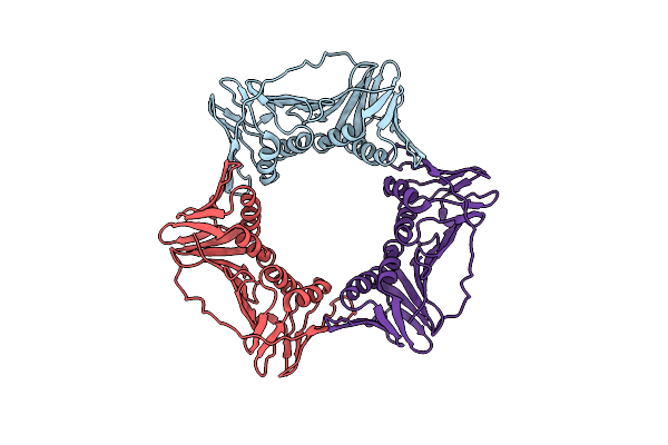 4CS5 image
