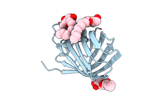 4CSB image