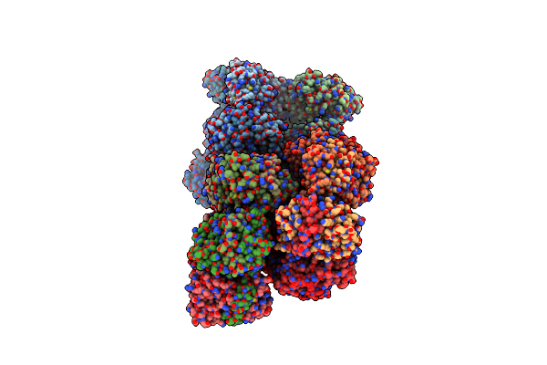 4CSF image
