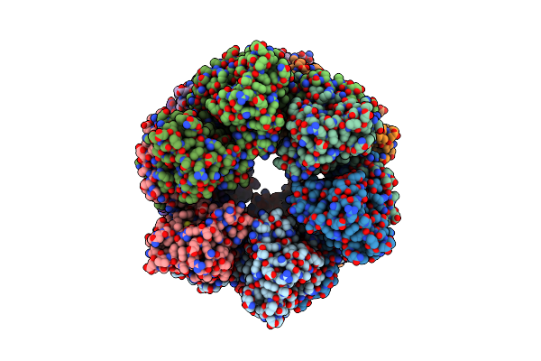4CSG image