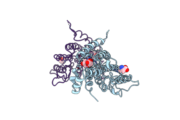 4CSM image