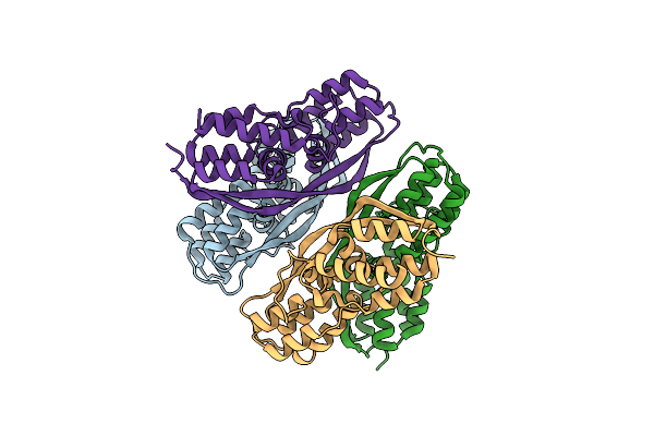 4CSO image