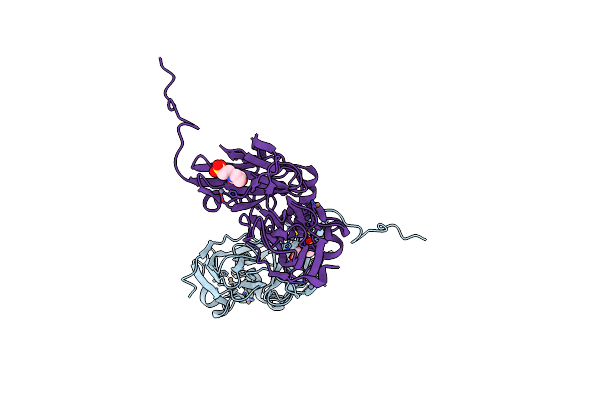 4CSP image