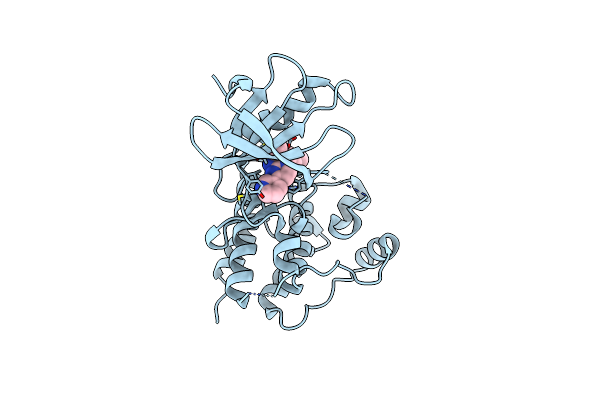 4CSV image