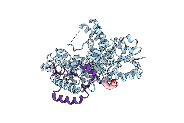 4CT0 image