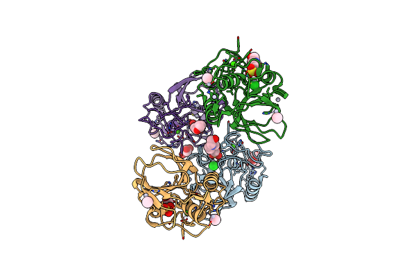 4CT3 image