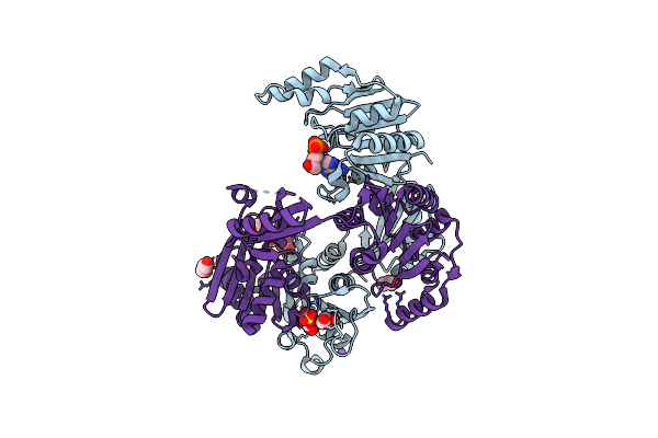 4CT9 image