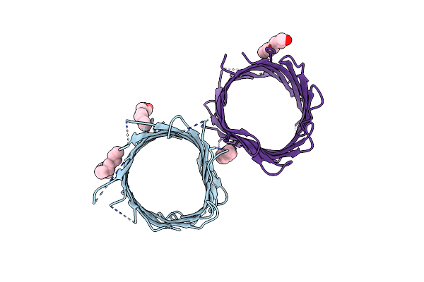 4CTD image