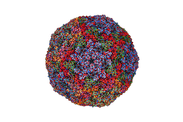 4CTF image