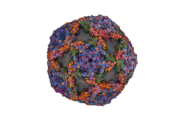 4CTG image