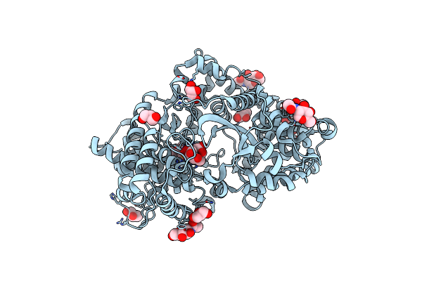 4CTH image