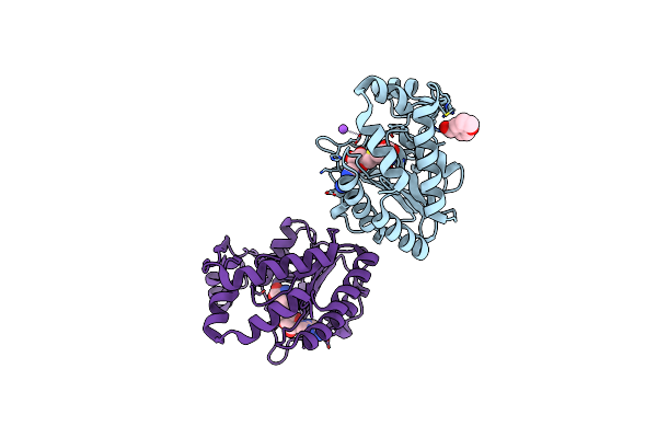 4CTJ image
