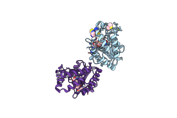 4CTK image