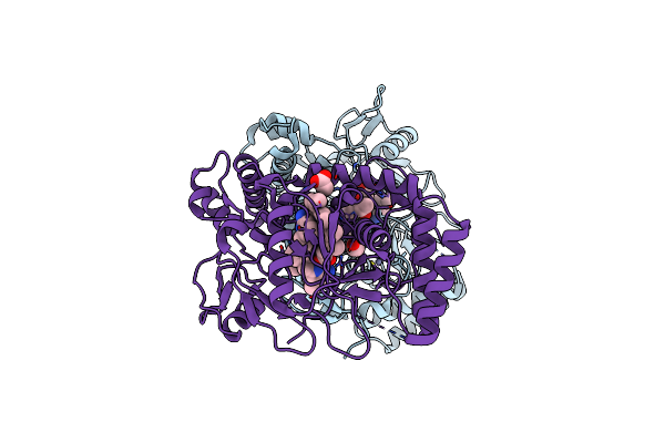 4CTY image