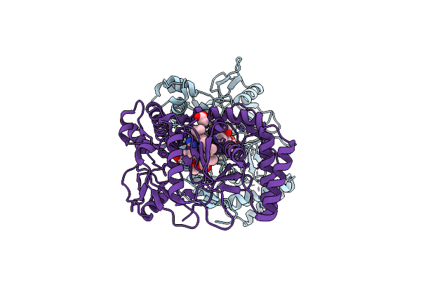 4CUL image