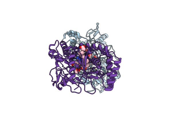 4CVG image