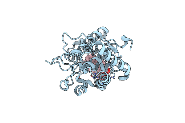 4CVI image