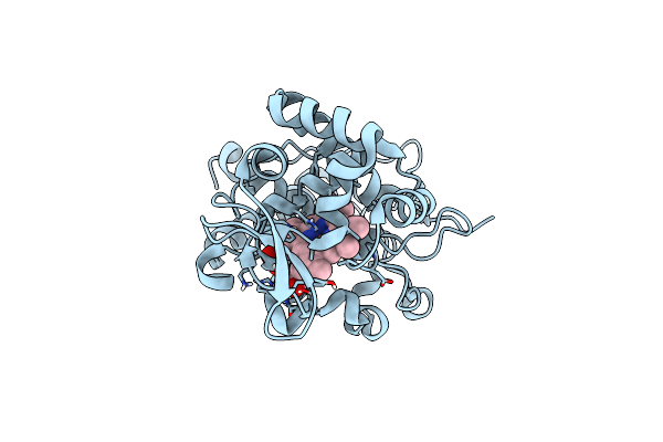 4CVJ image