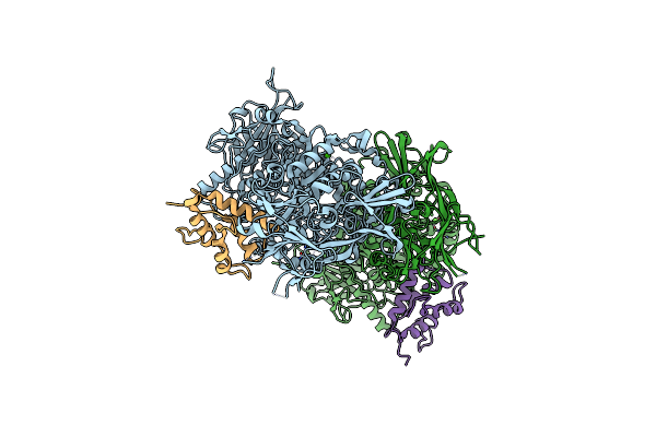 4CVW image