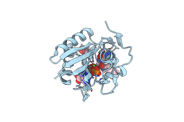 4CWB image