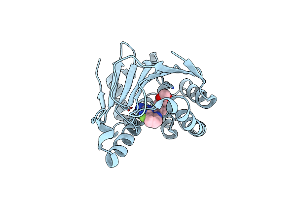 4CWR image