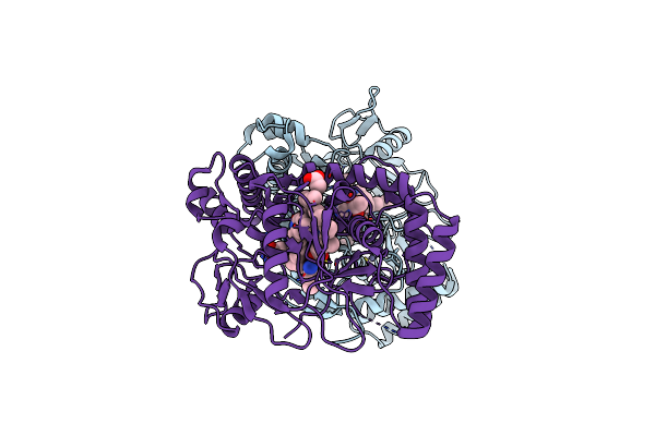 4CX1 image