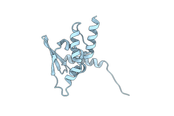 4CXI image