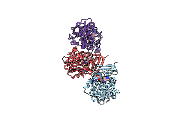 4CXM image