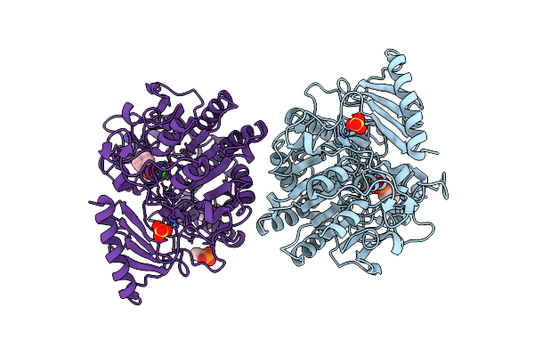 4CXS image