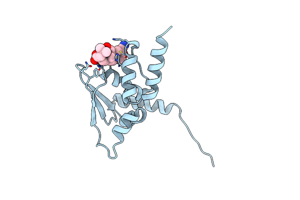 4CXT image