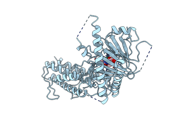 4CXX image
