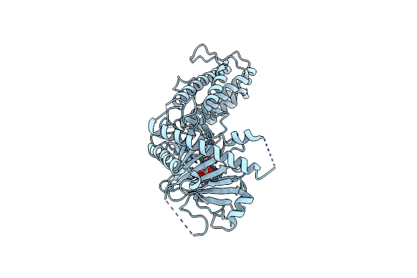 4CXY image