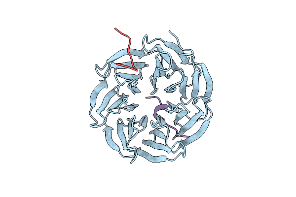 4CY2 image