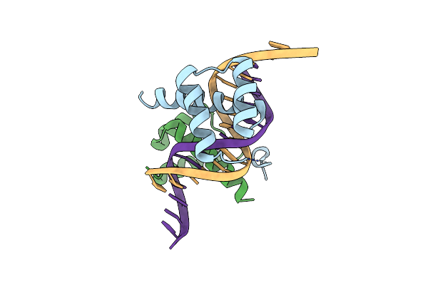 4CYC image