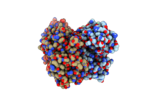 4CYD image