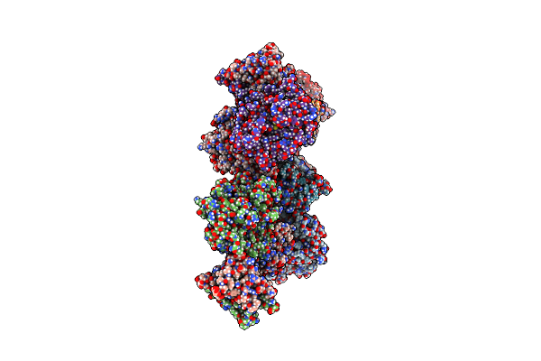 4CYI image