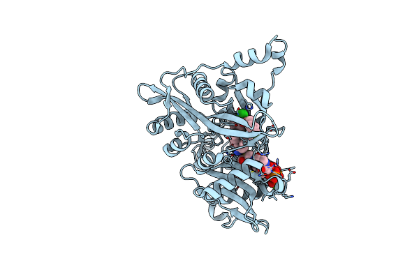 4CYO image