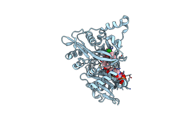 4CYQ image