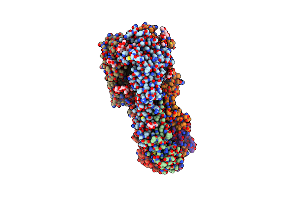 4CYW image