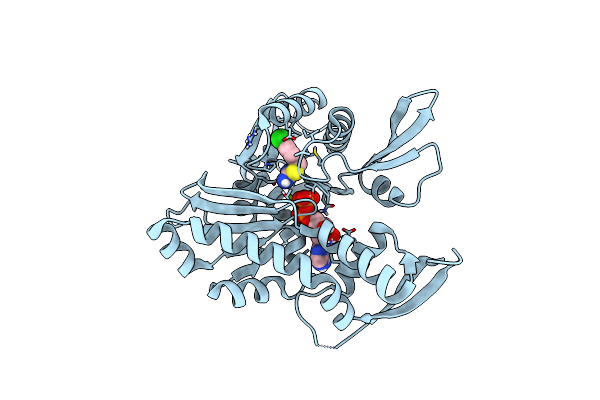 4CZH image