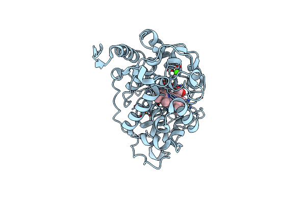 4CZO image