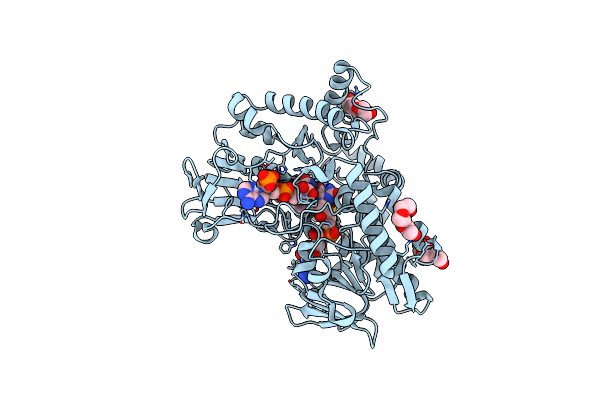 4D03 image