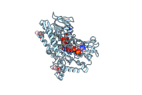 4D04 image