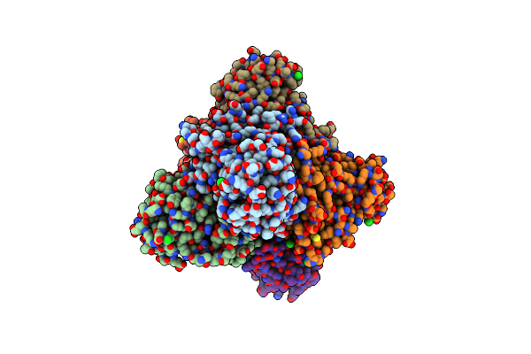 4D06 image