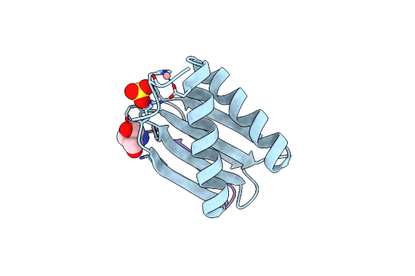 4D07 image