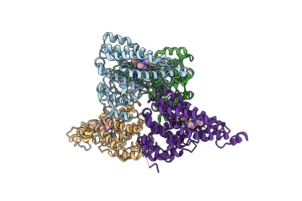 4D08 image